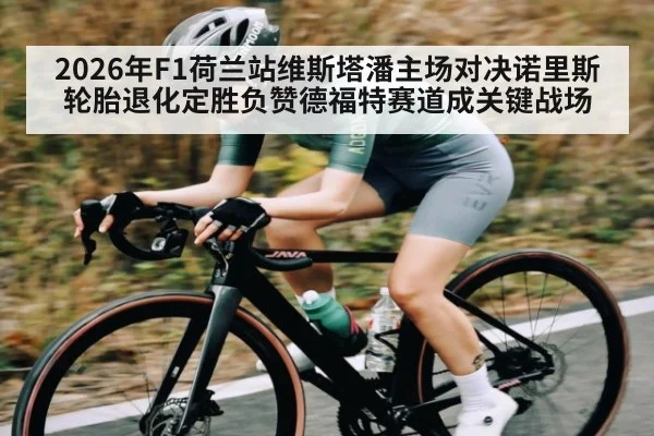 2026年F1荷兰站维斯塔潘主场对决诺里斯轮胎退化定胜负赞德福特赛道成关键战场
